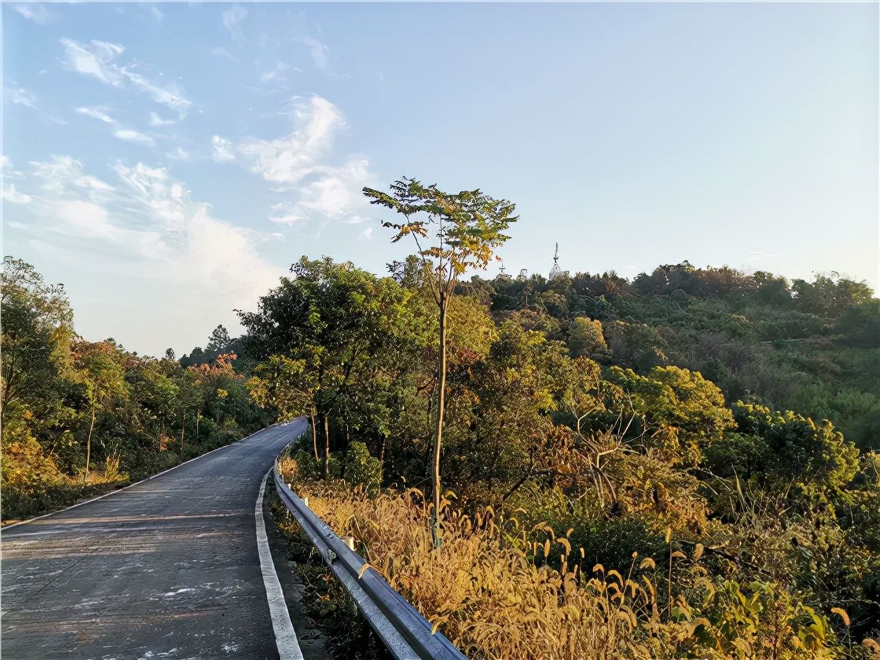 楚客|冬暖黄山头 | 楚客