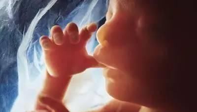 胎动|一组图记录怀胎十月,胎儿发育全过程,看完后,感叹生命神奇