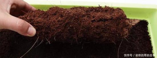 妖教|养花必修课,蓝妖教你认识最前沿的种植基质