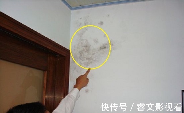 液态状|刮完腻子为啥还要刷乳胶漆?师傅这么说我才明白