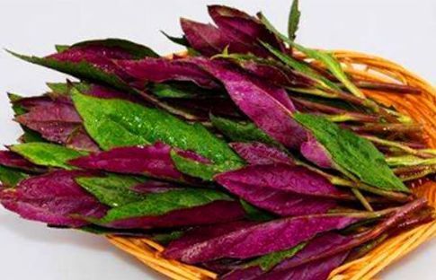 葡萄皮|好食物才能吃出好身体,3种食物不错过,补充营养,有益健康!