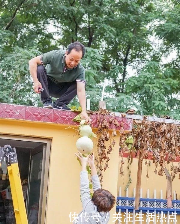 旧农舍改造成花园，一年四季花开不断，邻居看了羡慕的不得了！