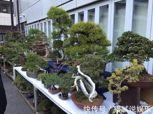 这9种花园,随便1个都美上天了,有一种这辈子就满足了!