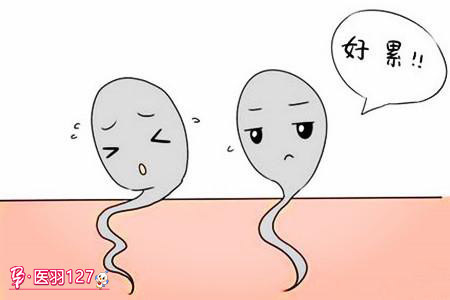 科学|男性精子存活率不高怎么办?如何科学备孕?