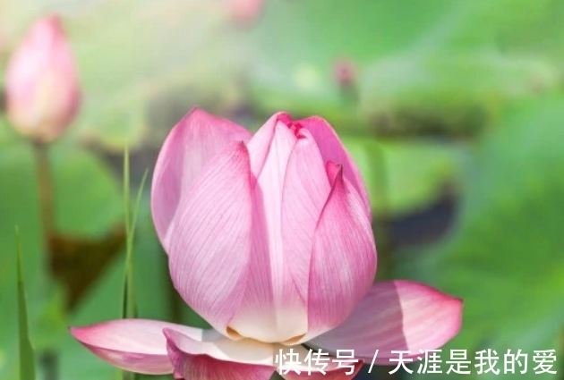 财源广聚|十一月开始 幸运星高照财源广聚生活欣欣向荣的三大生肖