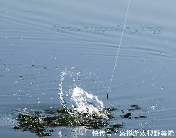 野钓|野钓突然停口的原因