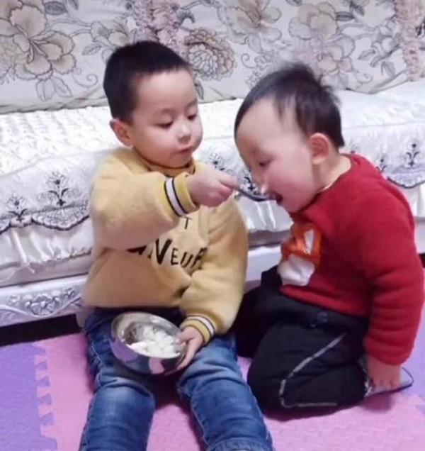 一箭双雕|哥哥独占饭碗,弟弟高情商讨要食物,宝妈“一箭双雕”方法太赞