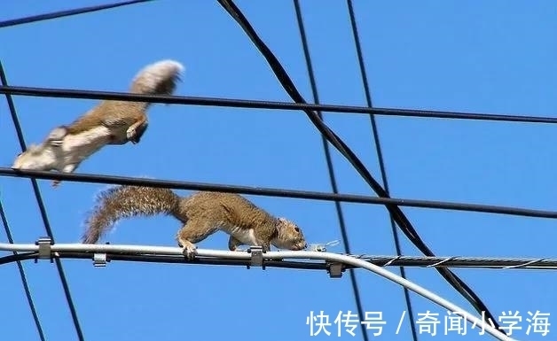 24个冷知识:生物老师看完直呼不可思议,但却真实存在的有趣知识。