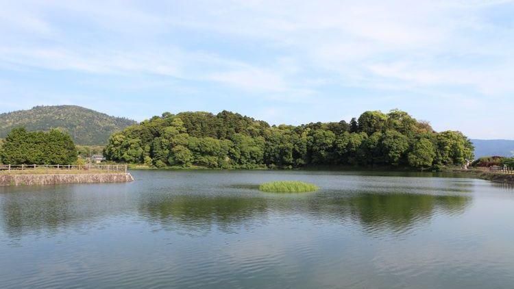 外国游客|奈良这个小众景点，内有神秘“蛇神”神社，外国游客难一窥其面貌