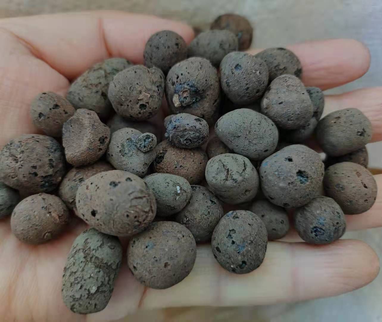 花生壳|花盆底垫什么好?推荐一些实用的东西,既透水又保肥