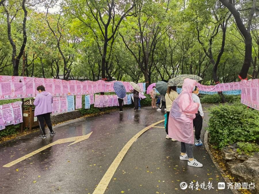 相亲大会|雨中情！千佛山相亲大会开幕第二天，现场浓情满满