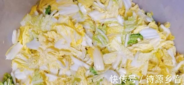 南果梨|百菜不如白菜,立秋后,学着制作辣白菜,锁住营养美味翻倍!