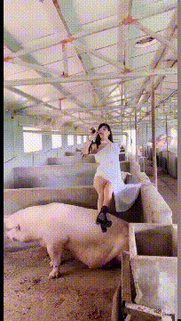 |搞笑GIF趣图:姑娘,你不觉得这里臭气熏天吗,难道这就是你的灵感