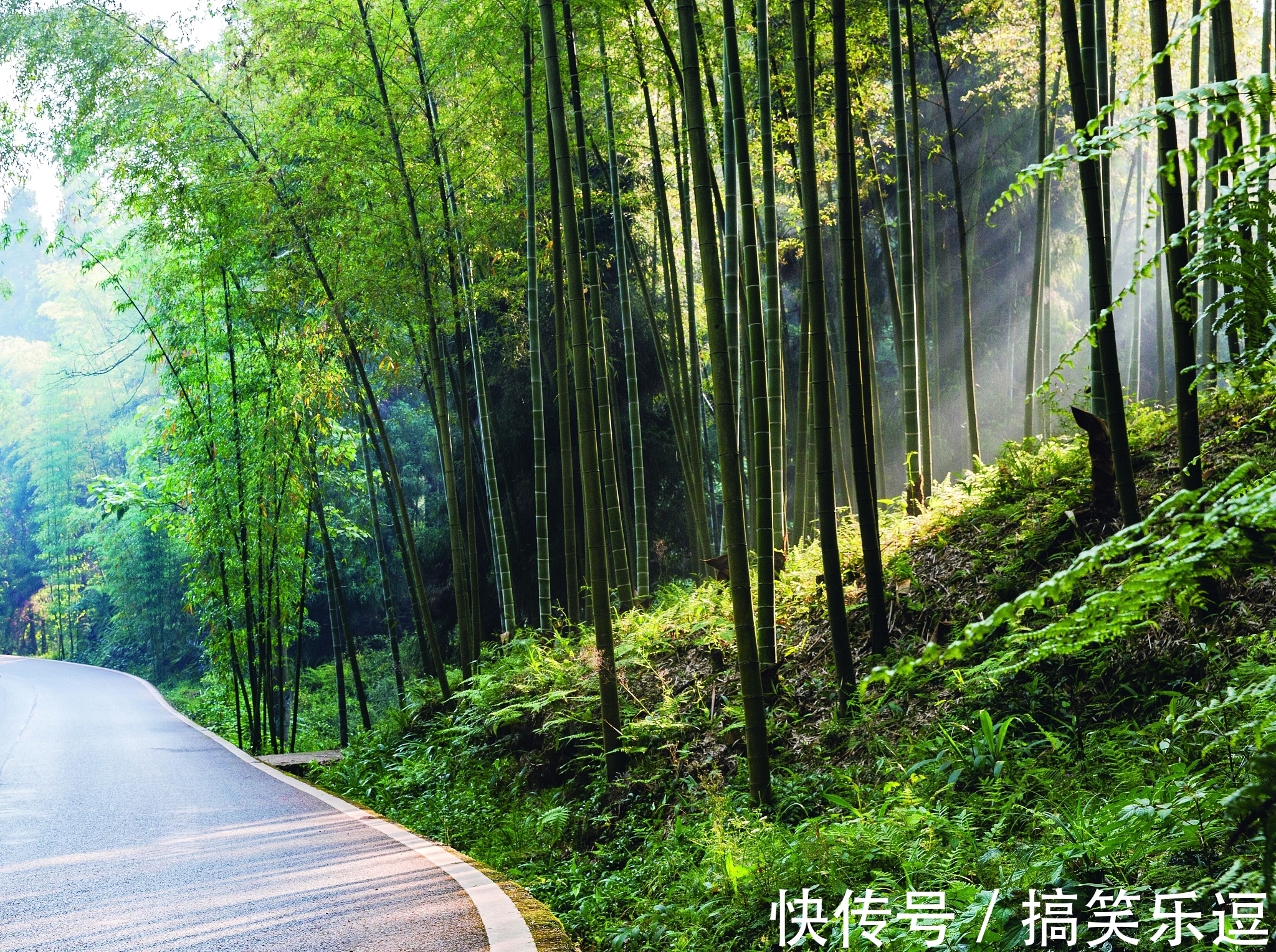 劲节&节入云霄虚若谷,榜称杰俊愧三竿。天府诗人《竹咏》诗词