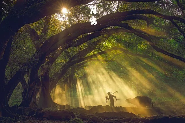时辰!读懂十二时辰,就懂了我们的一生