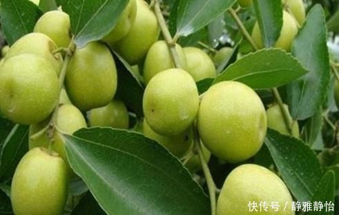 清热去火|每天要坚持吃的食物，清热去火，延缓衰老，好吃又不贵