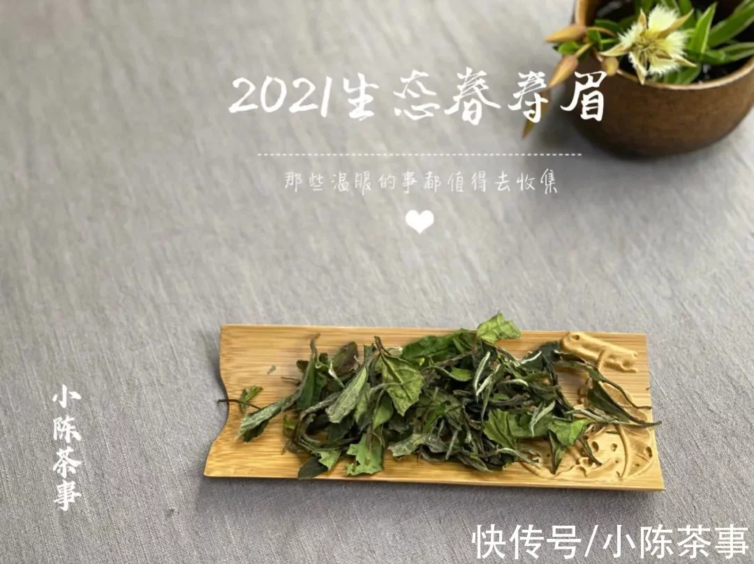 这才是我们小陈茶事的“双11”，是的，我们的，当然也是茶友们的