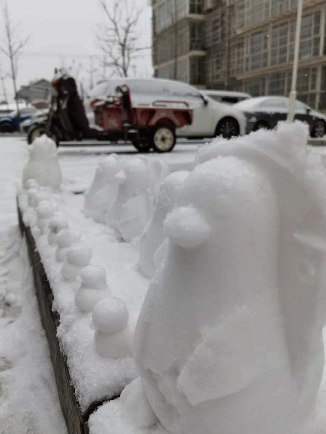 春雪如期而至 延庆冬奥赛区宛若仙境！