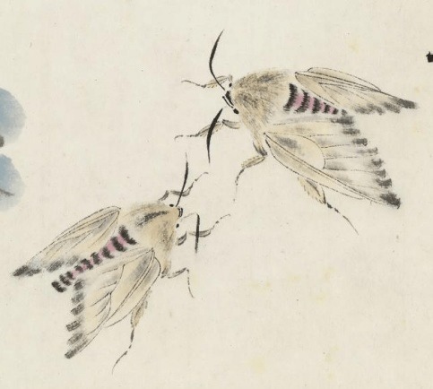 徐悲鸿!徐悲鸿送人一幅未完之画,90岁齐白石为其续补,说:知我者悲鸿