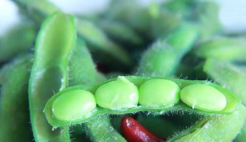 煮毛豆时,万万不可直接煮,多做一步,毛豆翠绿不发黄更入味