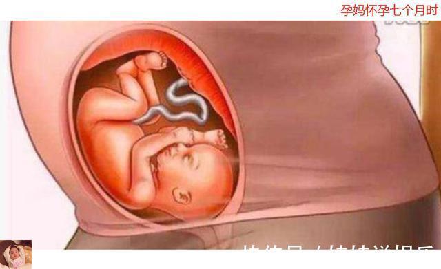 十月怀胎|母亲十月怀胎到底多辛苦十张图带你看孕育全过程,生命来之不易