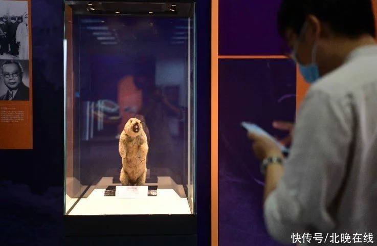 人与微生物有何恩怨情仇？北京自然博物馆原创特展今起揭秘