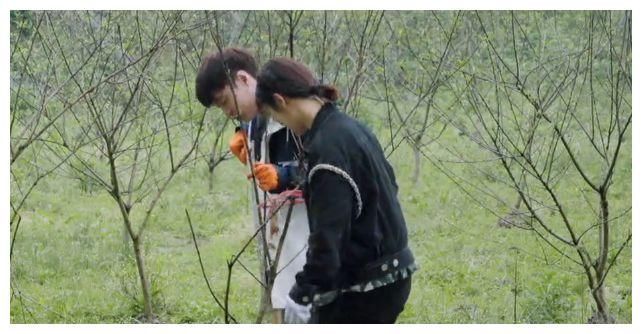 张艺兴|杨紫问黄磊 《向往》那么多嘉宾谁点的菜最苛刻 黄磊的回复显情商