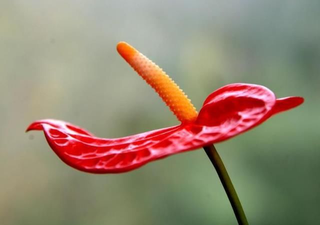 上坡路|一个人将要走“上坡路”的三个征兆，发现一个，也是喜事，恭喜了