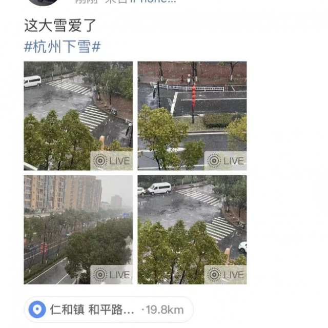 雨雪|雪！雪！雪！现在，杭州市区虎年的第一场雪正在进行中