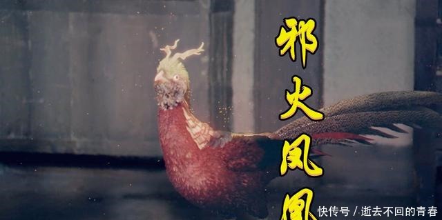 斗罗真人版的剧情越来越“狗血”,唐三整集研究鸡屎,野鸡变凤凰