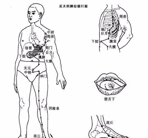 脸上出现3种症状？可能是脾虚！用天价护肤品都不如养养脾