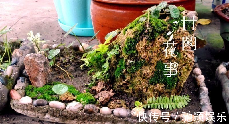 7种“废料”做花盆,不花一分钱,花盆用不完,比买的还精致