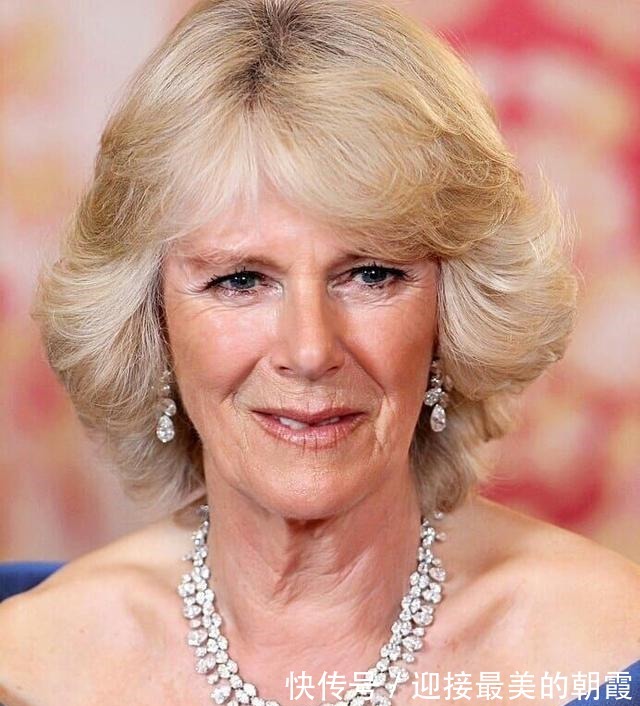 蛇形项链 卡米拉的蛇形项链20年前做情人时查尔斯送的,蛇蝎气质一目了然