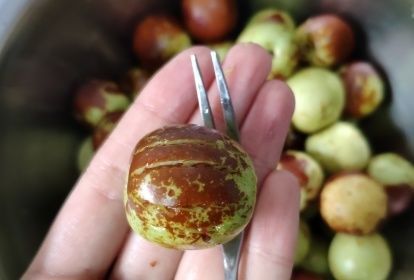 它是“维C之王”,秋天碰到别手软,多买些囤着,吃一年也不坏