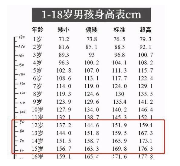 定型|男生的身高会在哪个阶段定型或是在这个时期，家长要及时了解