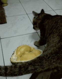 |搞笑动图:小兄弟:不要悲伤,人生的路还很长啊!