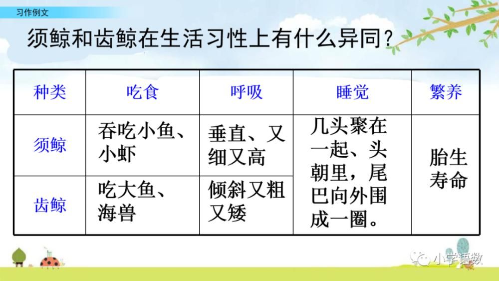 制作|部编版五年级上册第五单元习作例文《鲸&风向袋的制作》课件及同步练习