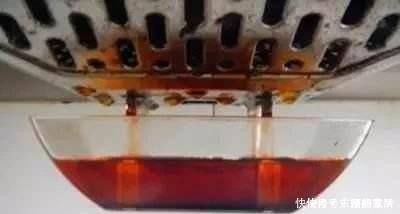 养虎皮兰时，盆里加2种东西，30天钻出钢芽，侧芽嗖嗖