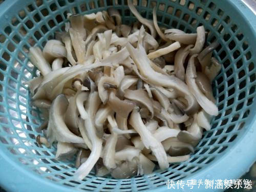 蛋白质|猪肉太贵吃不起不如多吃菇,蛋白质高于猪肉,只卖3元一斤