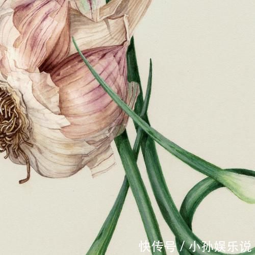 花卉#一位全职妈妈喜欢疯狂画画,教你画水彩花卉