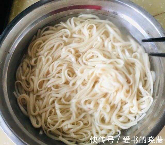 面条|西红柿鸡蛋拌面,一款简单美味的家常拌面,极易上手!