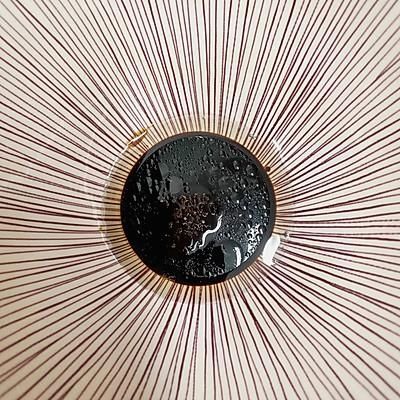 #一学就会快手菜#暖心暖胃的鸡蛋面