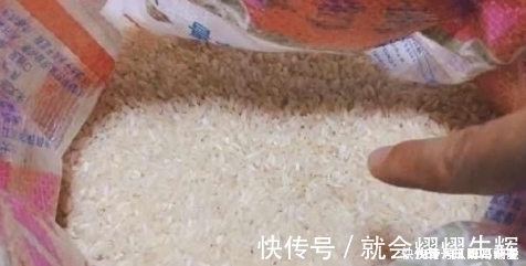 妙招|大米生虫不懂不要暴晒!教你1小妙招,用完就能一年不长虫不发霉