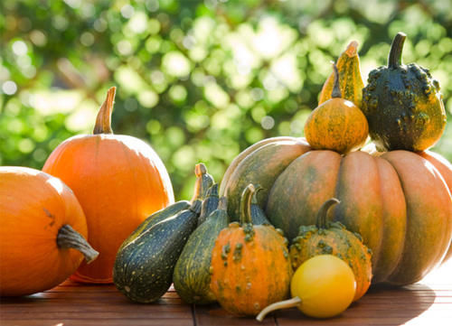 女性来“姨妈”，多吃4种食物，滋阴养肝，呵护子宫，排出毒素