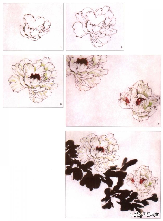 汁绿&图文教程——教你画小写意牡丹