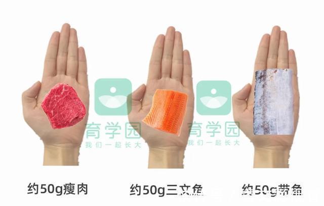 食物|入秋后,给娃多吃这4种食物,补铁补钙补VC,让娃长高又长肉