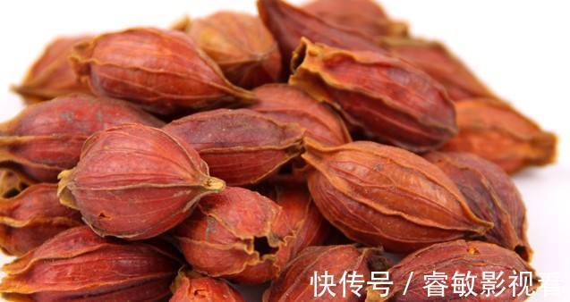 栀子|一味中药,上清心肺之火,中泻胃火,下泻肾火,疗效独特