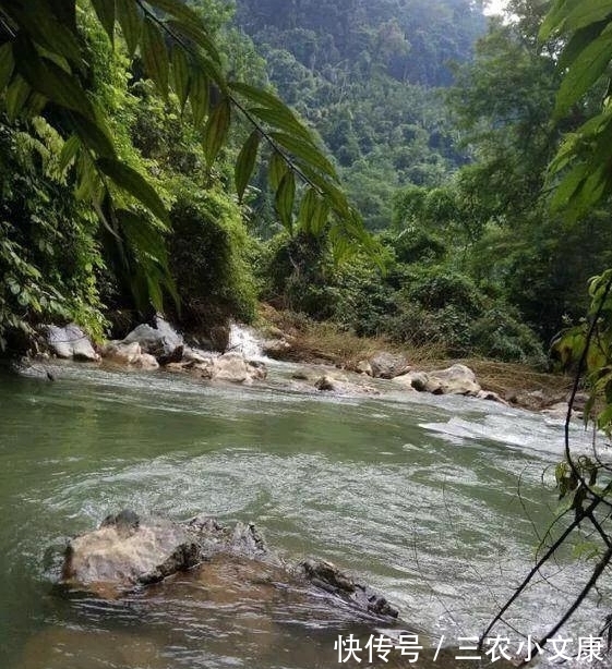 溶洞|深山溶洞钓鱼, 全是奇葩鱼类, 你见过这些鱼吗