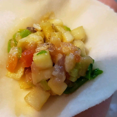 肉馅|茄子馅饺子