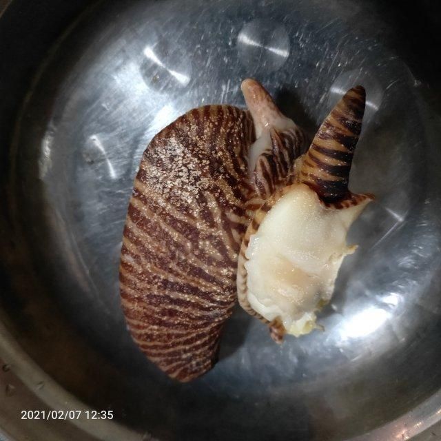 爆炒红螺片，口感柔韧，鲜美下饭